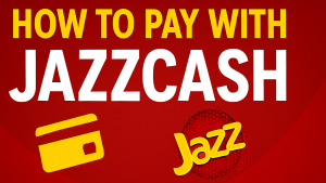 LifeSafari SMM Panel Payment Gateways Part II
